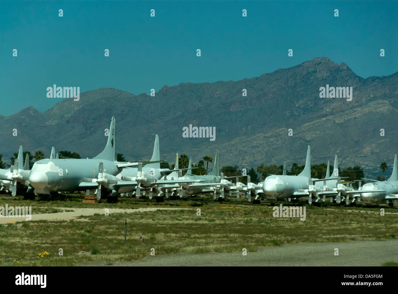 largest air force base