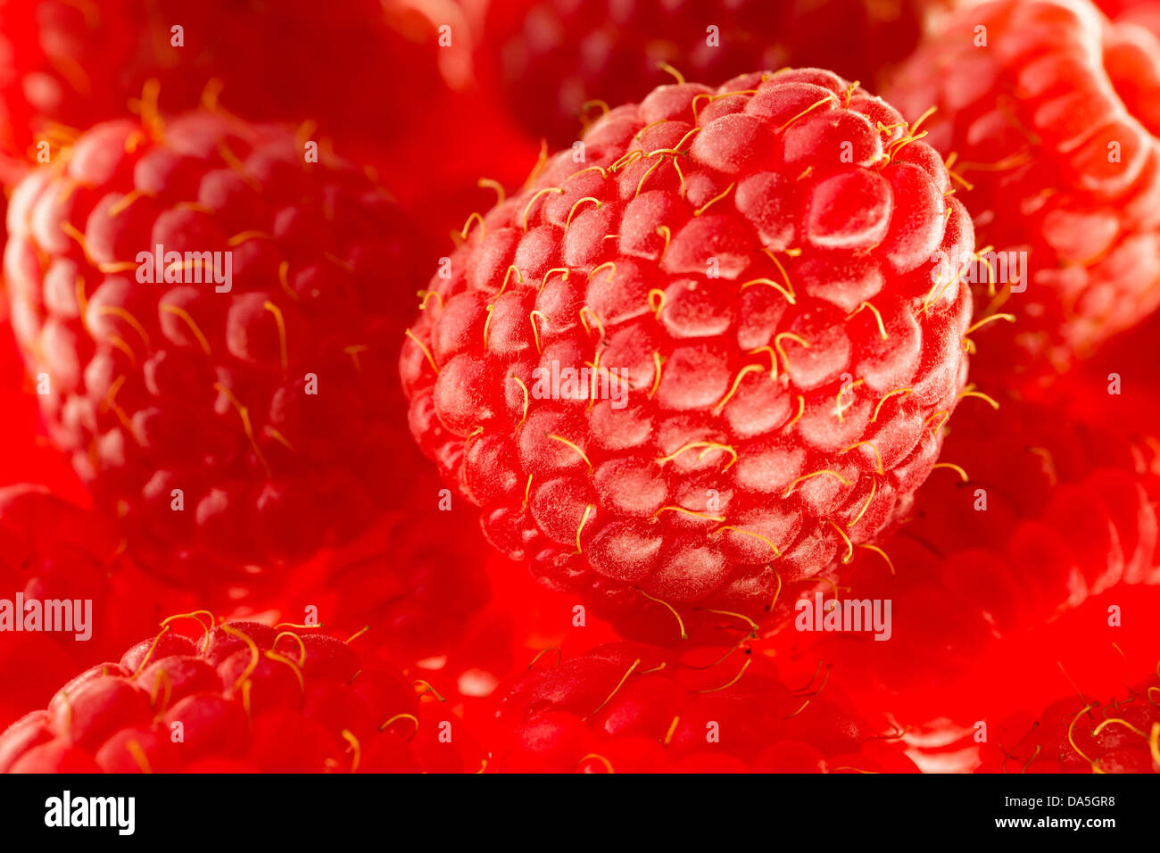 raspberry macro closeup vivid macro Stock Photo