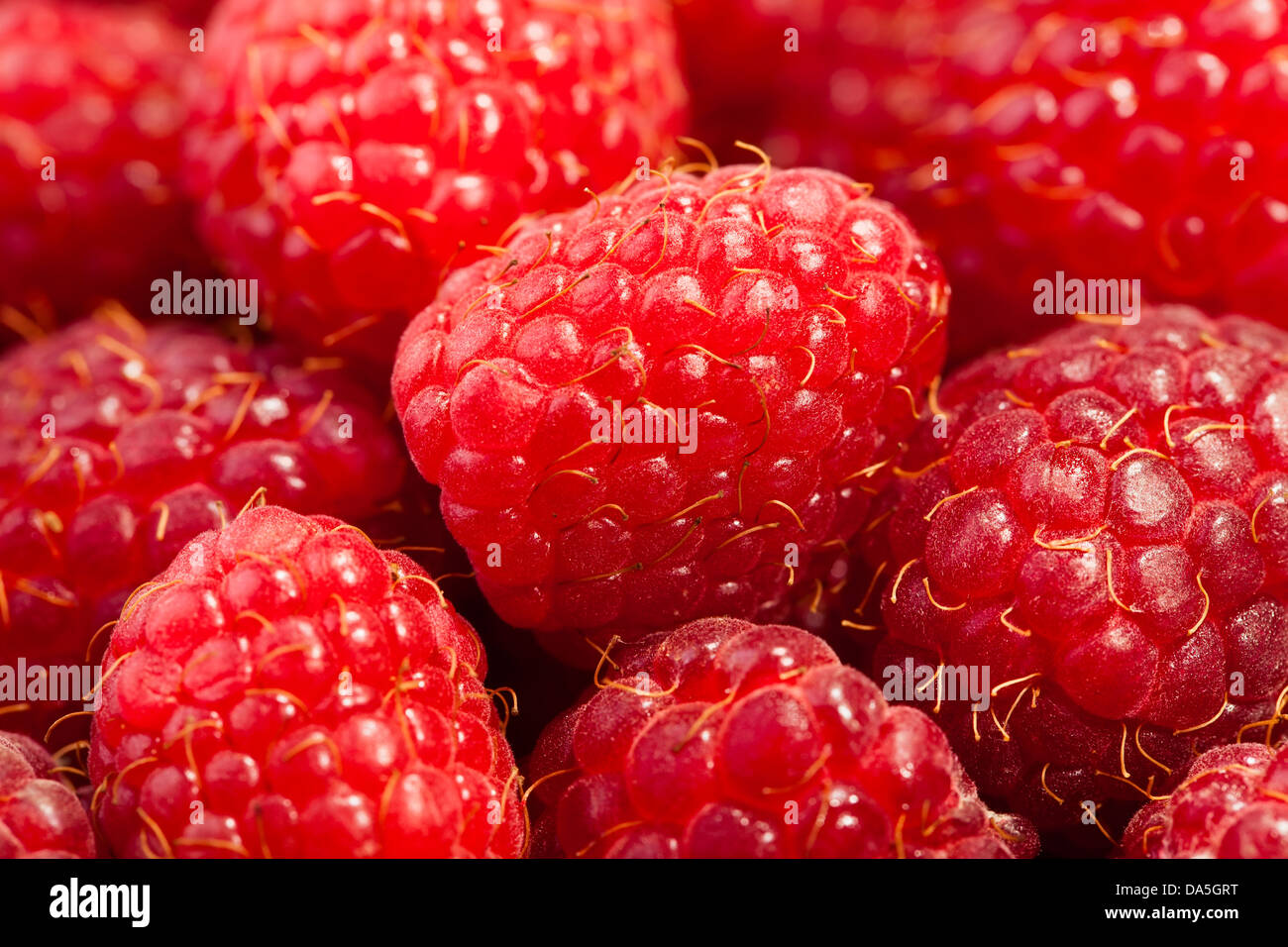 Red raspberry macro hi-res stock photography and images - Alamy