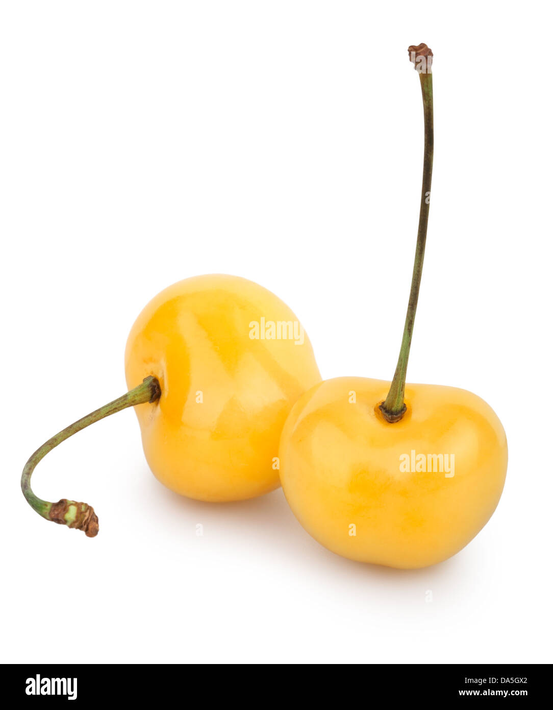 cherry yellow two on white background Stock Photo Alamy