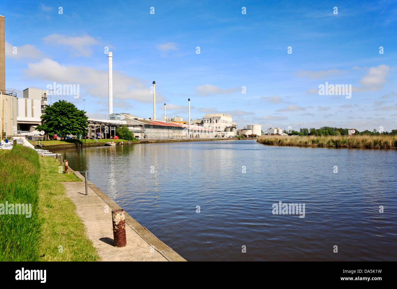 A view of the River Yare on the Norfolk Broads at Cantley, Norfolk