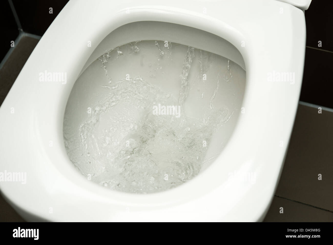 Toilet flushing hires stock photography and images Alamy