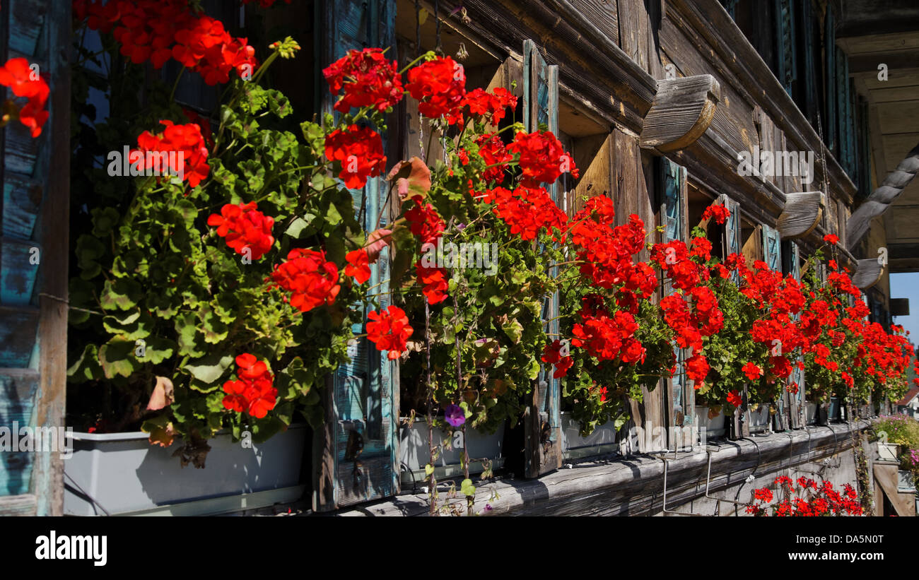 Affoltern, farmhouse, floral, decoration, Emmental, window, shutter, geraniums, timber house, Häusernmoos, canton Bern, Bern, Re Stock Photo