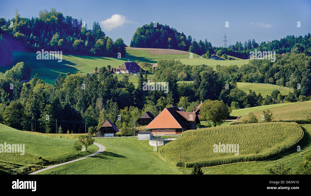 Field, agrarian country, agrarian scenery, farmhouse, farm, Emmental, field, house, home, court, yard, Hofholz, canton Bern, Ber Stock Photo