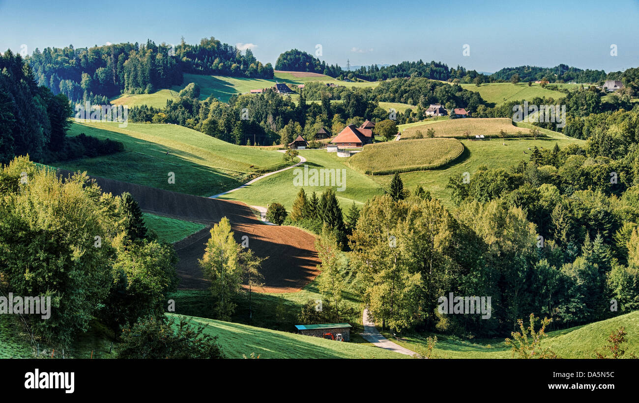 Field, agrarian country, agrarian scenery, farmhouse, farm, Emmental, field, house, home, court, yard, Hofholz, canton Bern, Ber Stock Photo