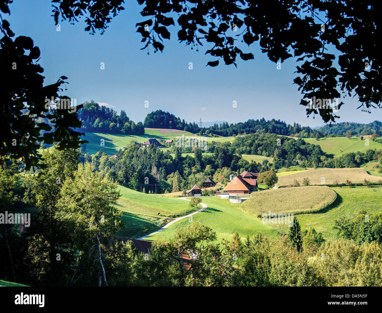 Field, agrarian country, agrarian scenery, farmhouse, farm, Emmental, field, house, home, court, yard, Hofholz, canton Bern, Ber Stock Photo