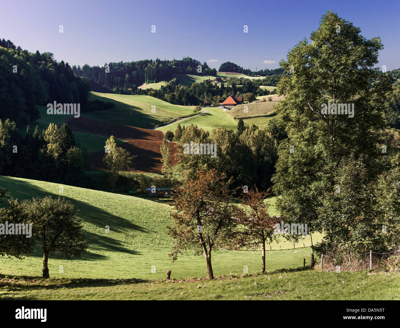 Field, agrarian country, agrarian scenery, farmhouse, farm, Emmental, field, house, home, court, yard, Hofholz, canton Bern, Ber Stock Photo