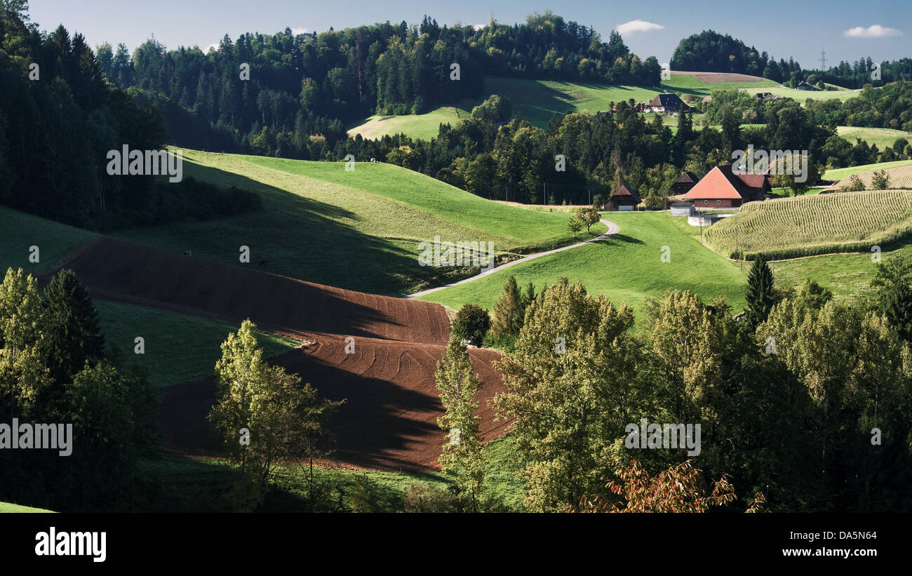 Field, agrarian country, agrarian scenery, farmhouse, farm, Emmental, field, house, home, court, yard, Hofholz, canton Bern, Ber Stock Photo