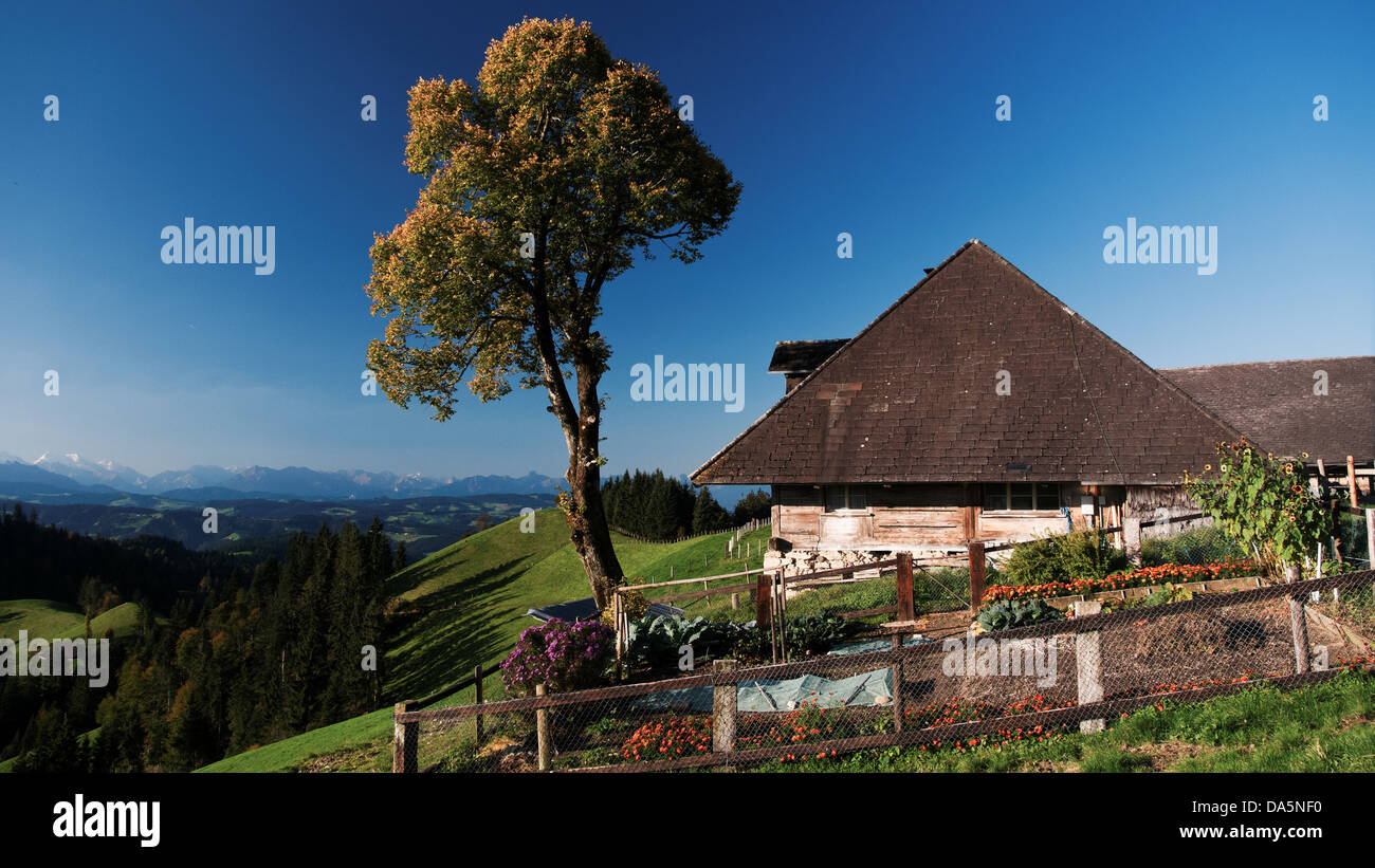 Farm garden, tree, Emmental, garden, garden fence, chalet, hill scenery, canton Bern, Bern, scenery, agriculture, Langnau, Lüder Stock Photo