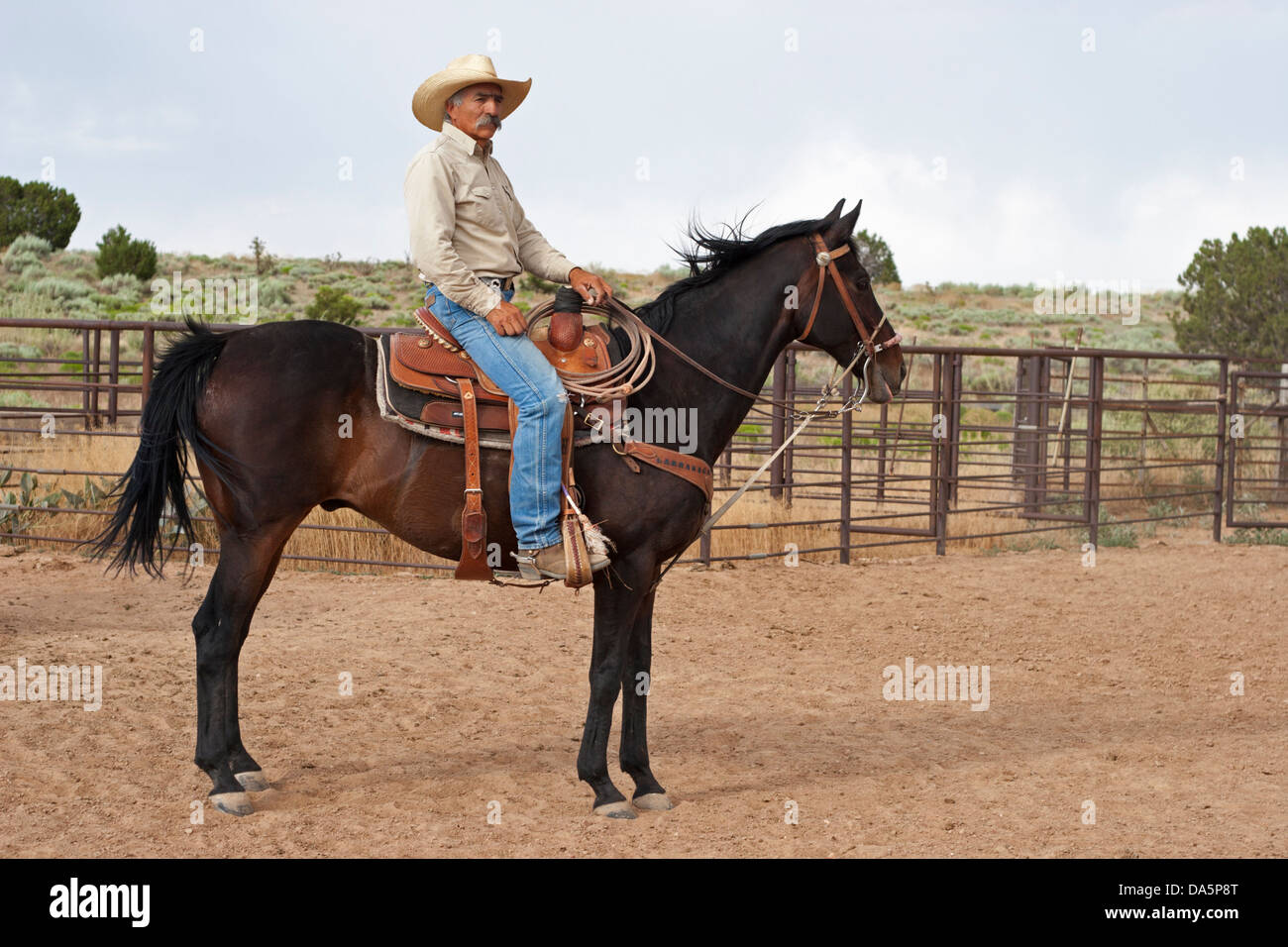 Cowboy riding horse with western saddle Stock Photo Alamy