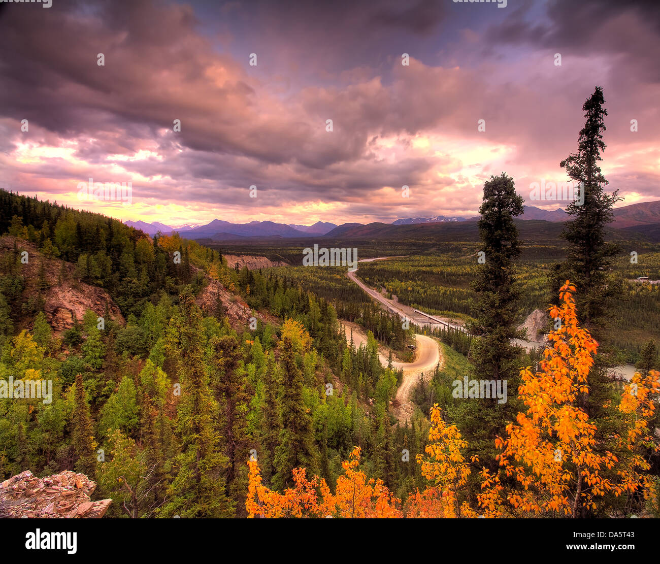 USA, United States, America, Alaska, Denali, National Park, nature, landscape, color, mountains, scenic, scenery, trees, tundra, Stock Photo