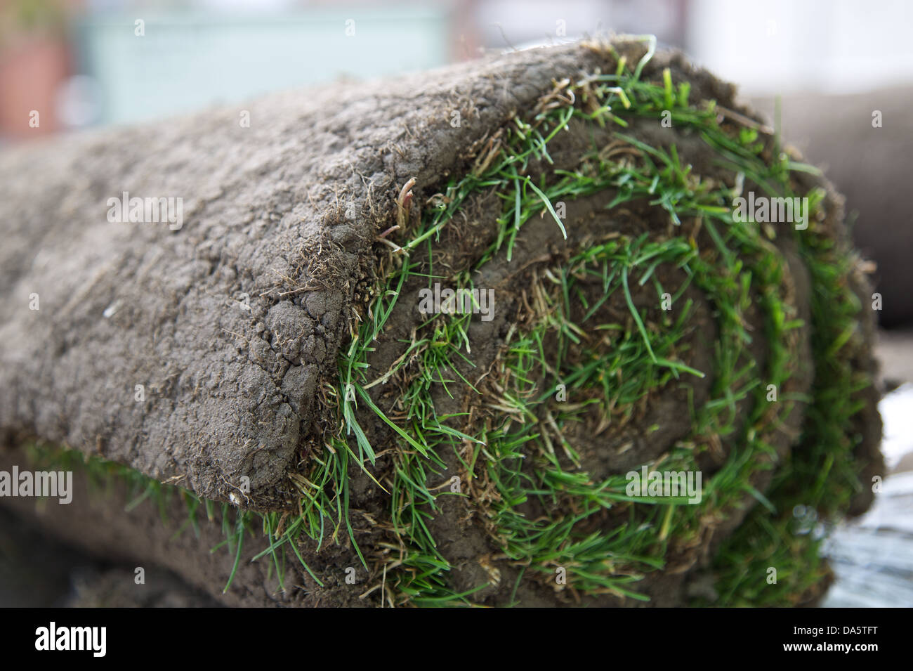 A roll of turf ready to be laid Stock Photo