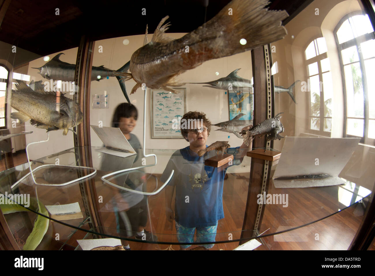Museum for kids hi-res stock photography and images - Alamy