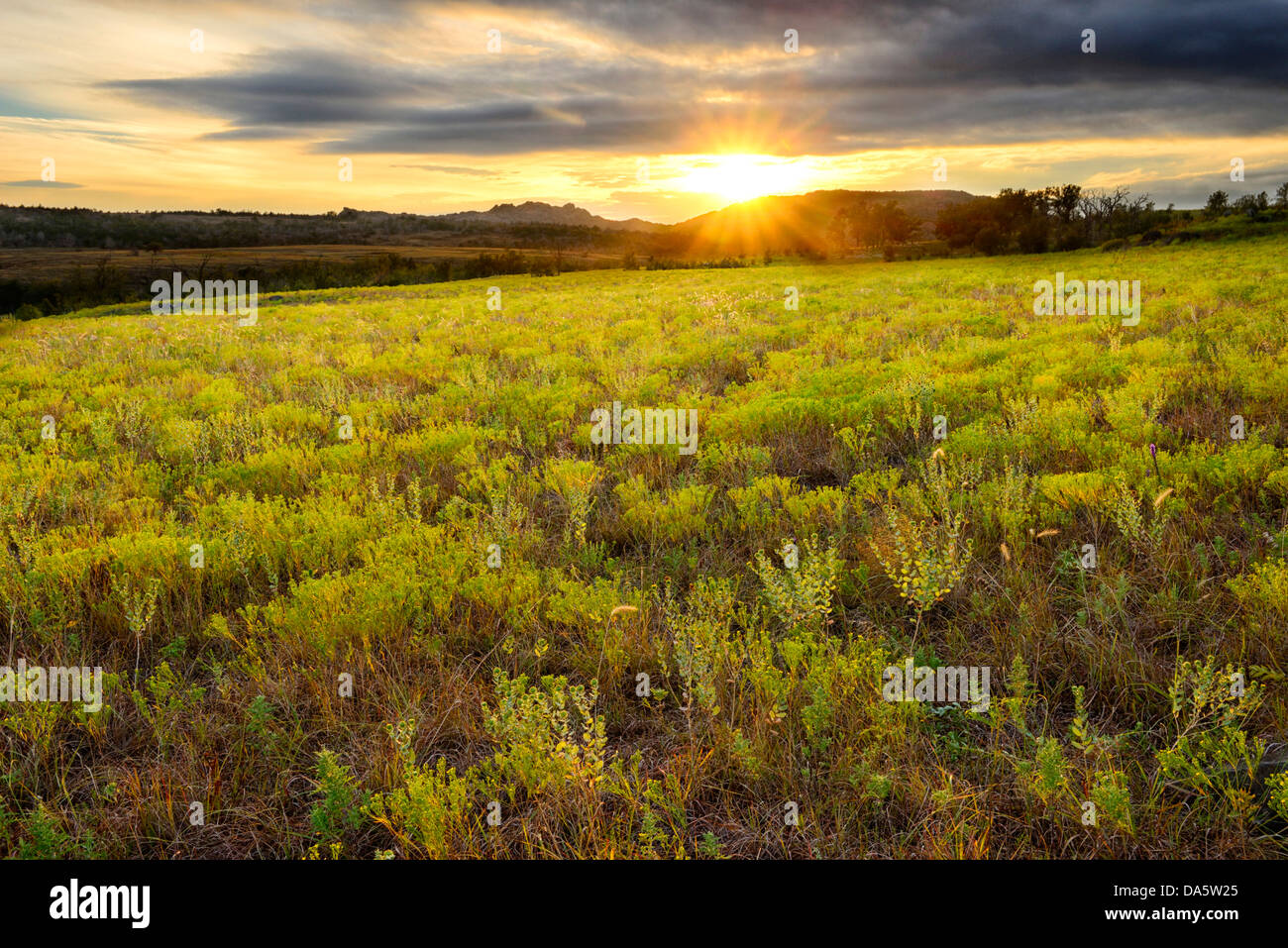 USA, United States, America, North America, Oklahoma, Comanche, Wichita, mountains, refuge, nature, landscape, grass, grassland, Stock Photo