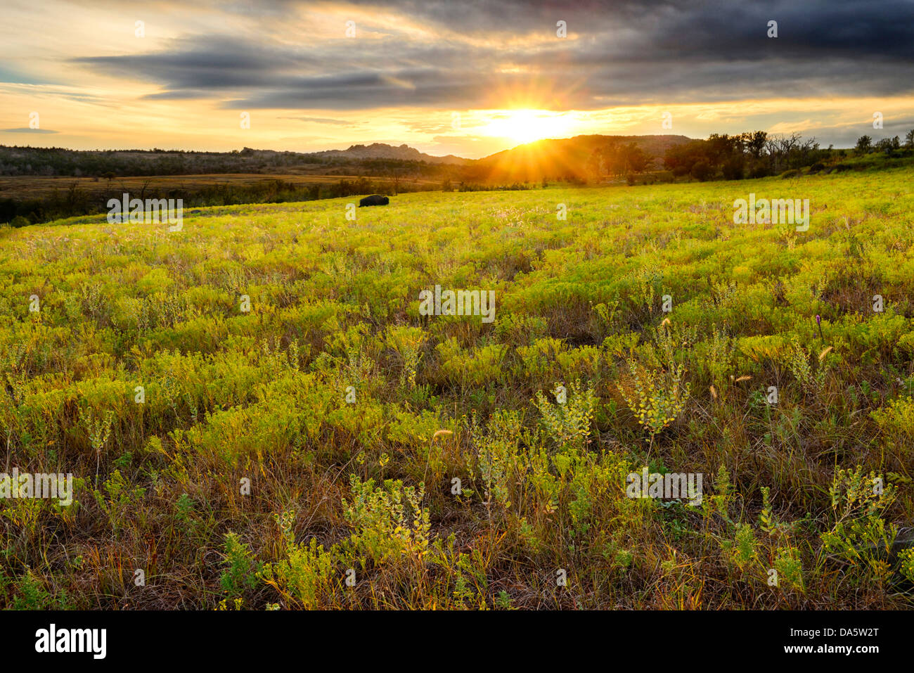 USA, United States, America, North America, Oklahoma, Comanche, Wichita, mountains, refuge, nature, landscape, grass, grassland, Stock Photo