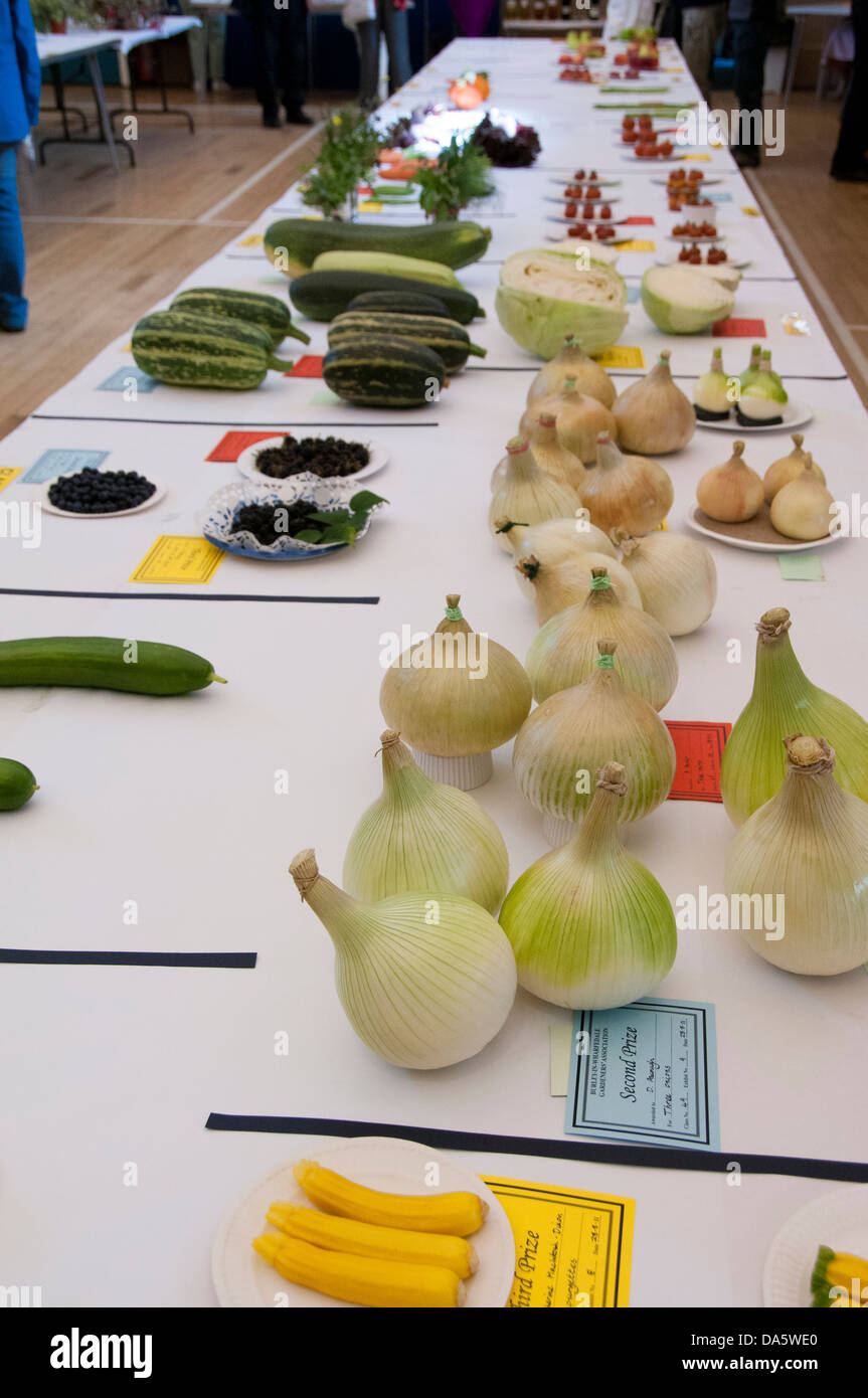 Wide variety of fresh fruit & veg entries displayed on tables, in competition at Gardeners' Show - Burley-in-Wharfedale, West Yorkshire, England, UK. Stock Photo