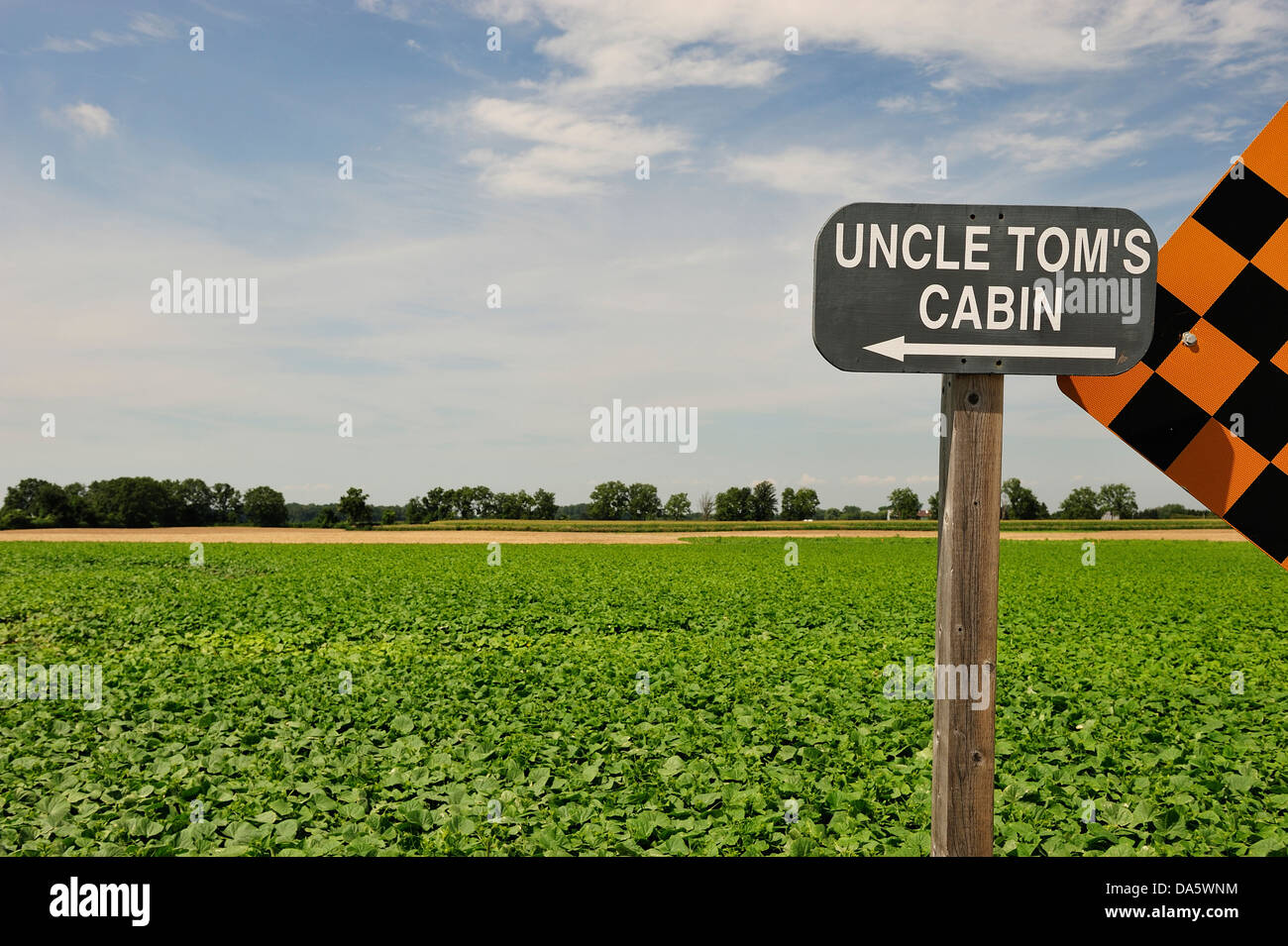 Canada, Dresden, Farm, Green, Ontario, Uncle Tom's Cabin, Uncle Tom, agriculture, crop, day, daytime, farm land, farming, field, Stock Photo