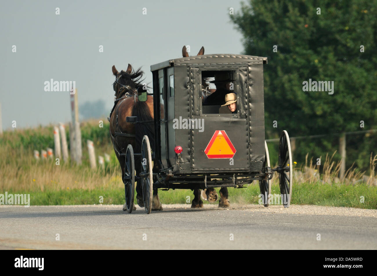 Carriage, buggy, Mennonite, kid, St. Jacobs, Ontario, Canada, heritage, countryside, road Stock Photo