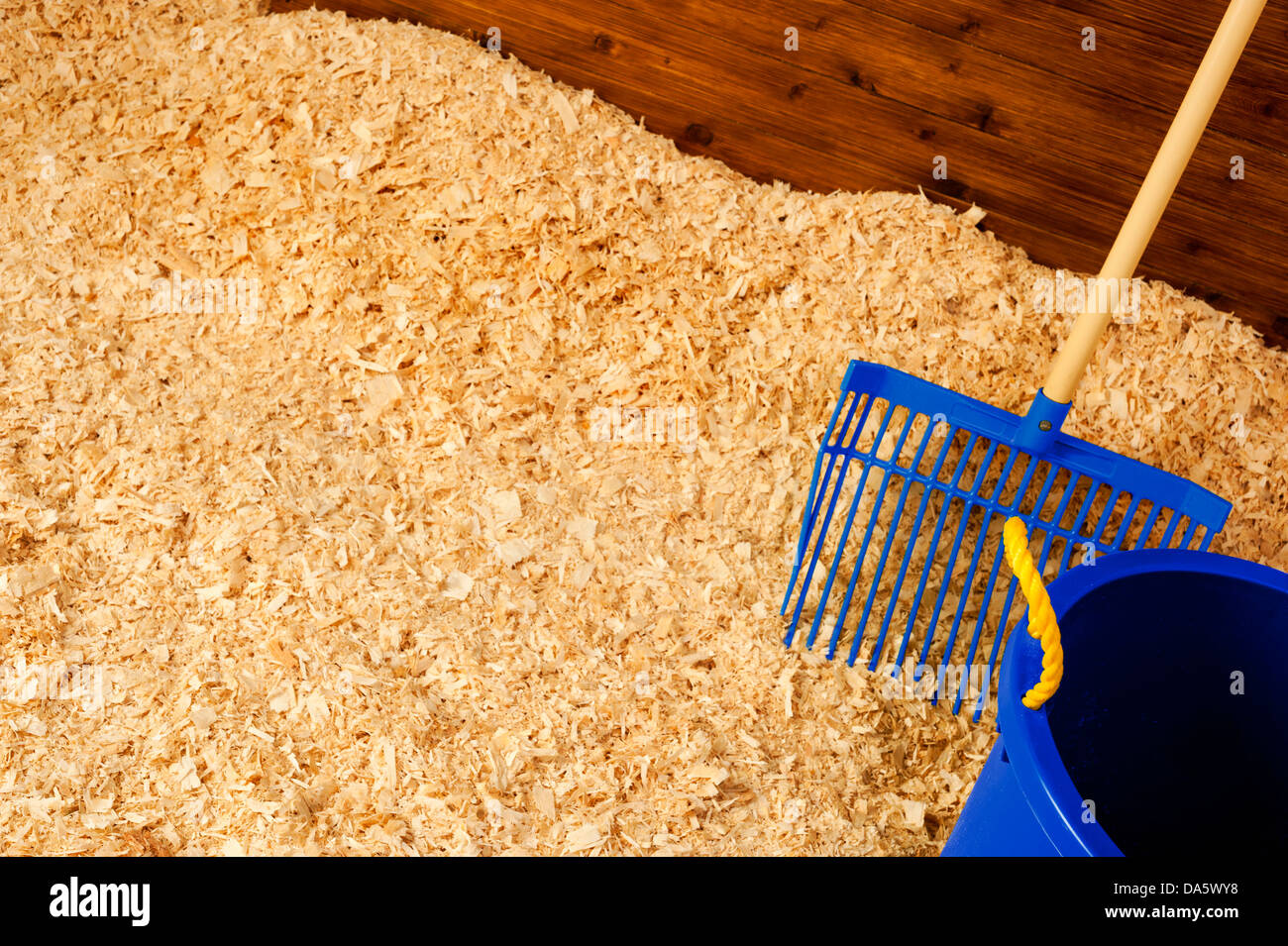 Mucking out a horse/livestock pen with clean new wood shavings Stock