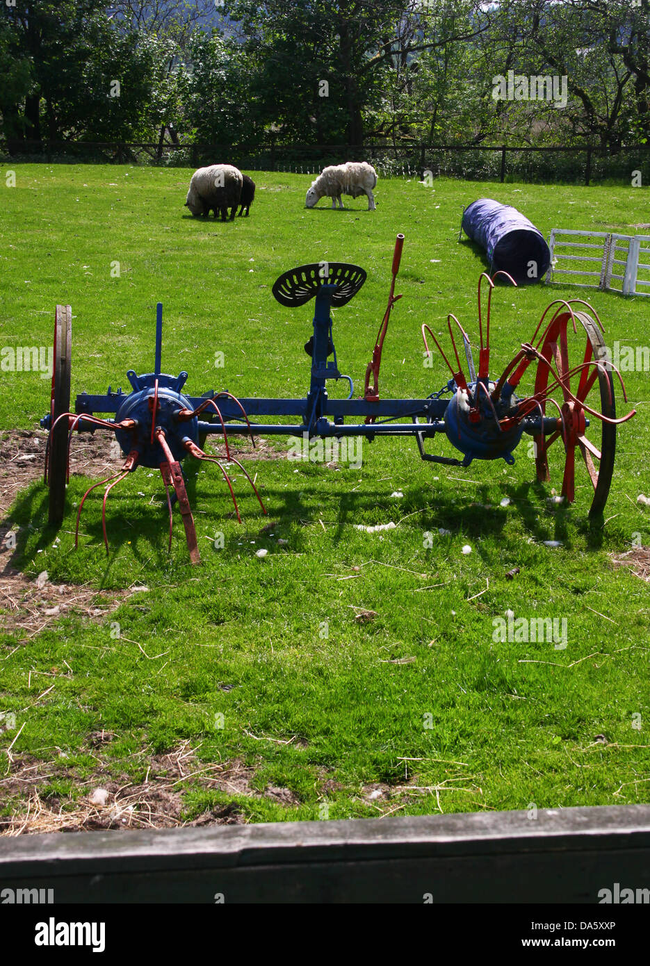 Old farm machinery in paddock with sheep Stock Photo