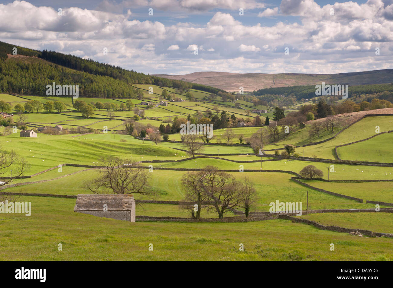 Under dramatic blue sky, long-distance picturesque view to Wharfedale (isolated barns & green pasture in sunlit valley) - Yorkshire Dales, England, UK Stock Photo