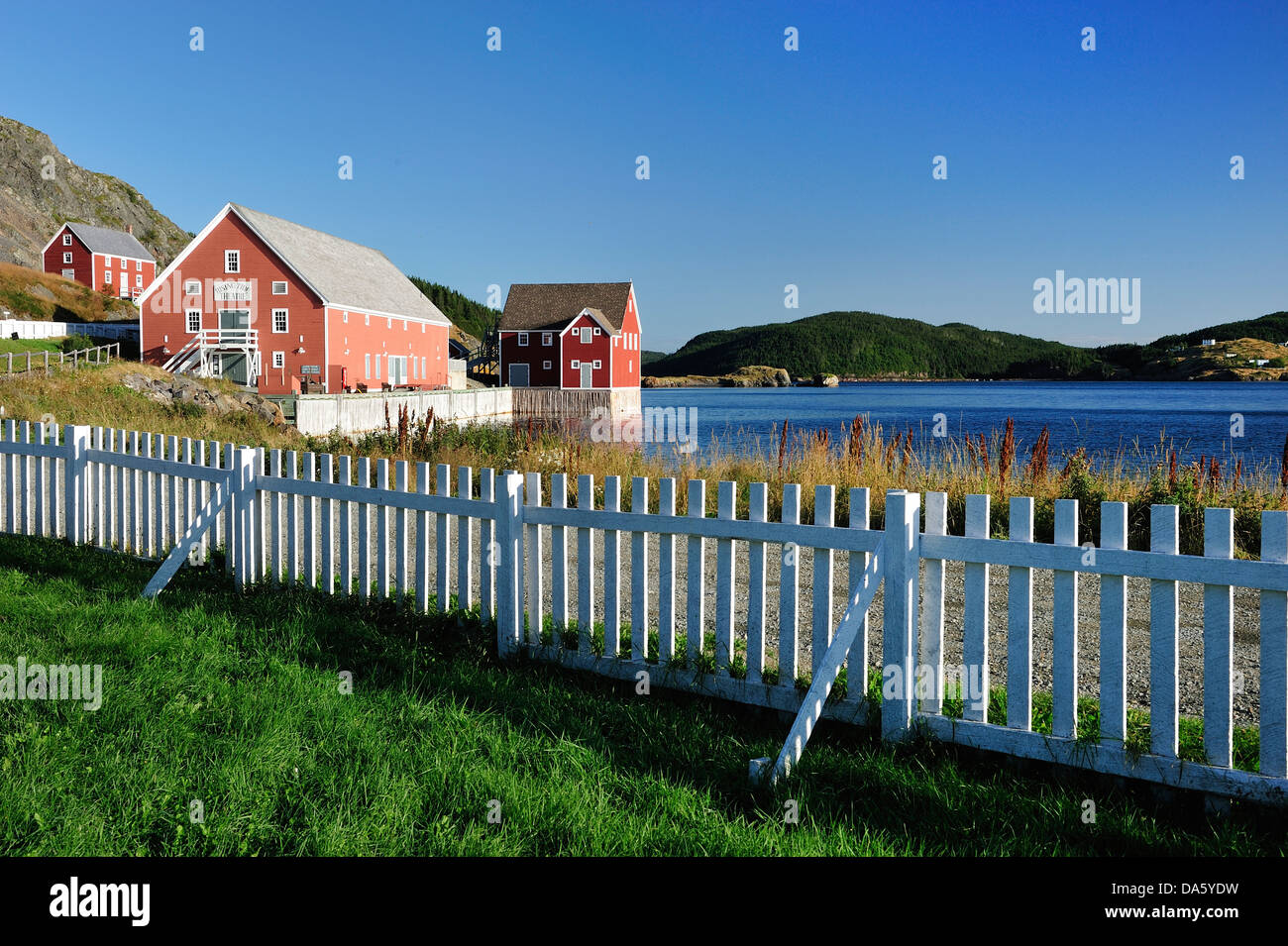 Trinity, Newfoundland, Canada, houses, fence Stock Photo