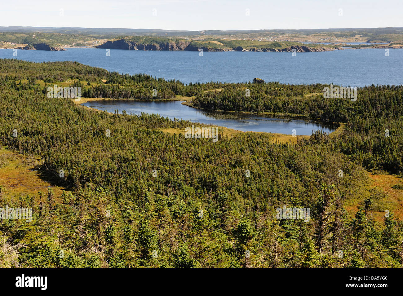 Skerwink Trail, Port Rexton, Newfoundland, Canada, lake, forest