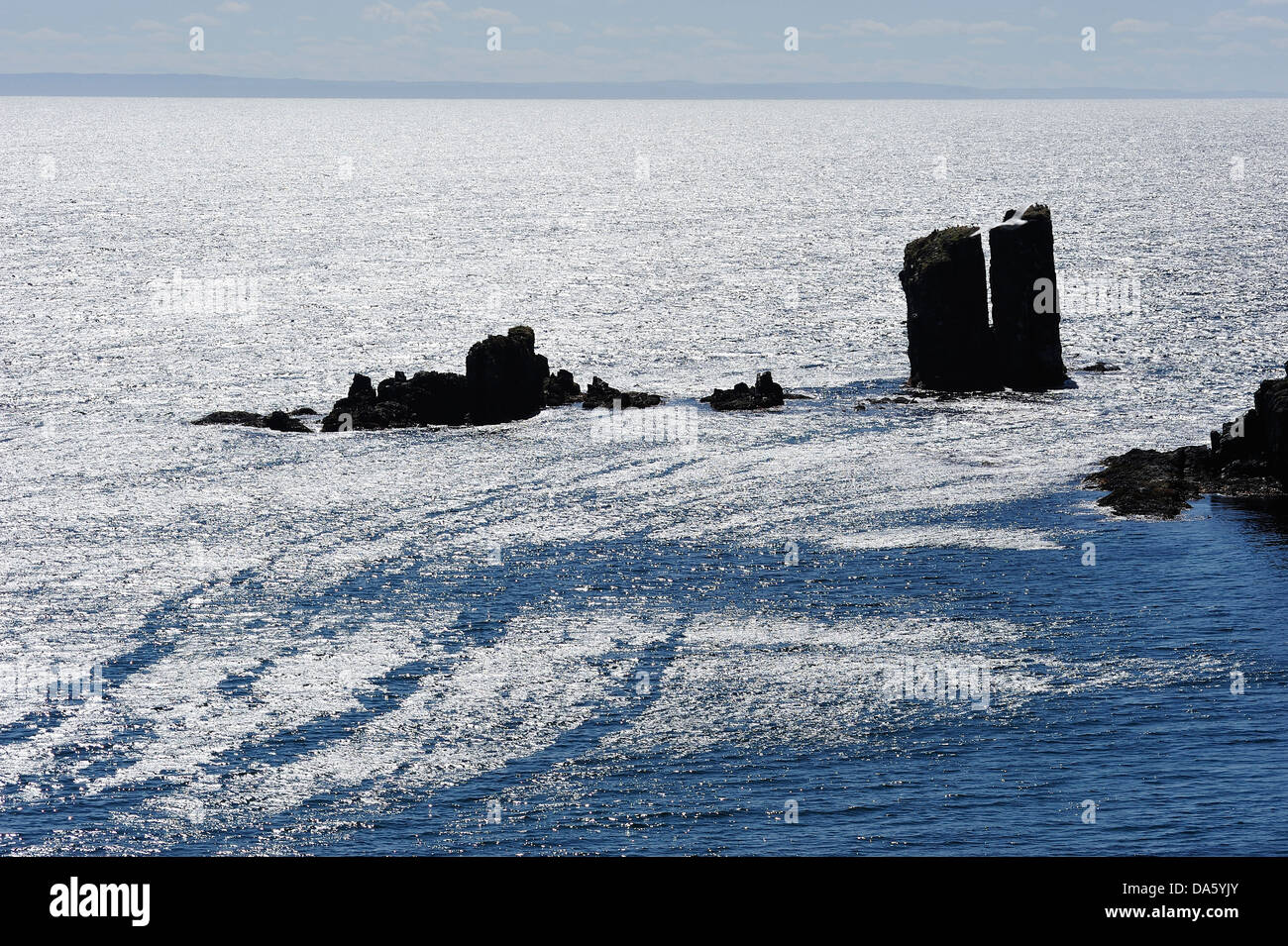 Sea Stacks, rugged, coastline, Skerwink Trail, Port Rexton, Newfoundland, Canada, sea Stock Photo