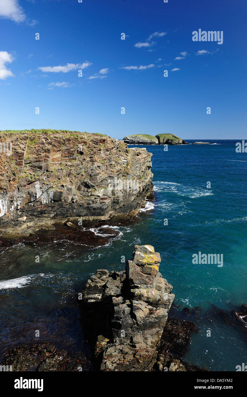 Coastline, Elliston, Newfoundland, Canada, coast, sea, landscape, rocky, cliffs, rocks, Stock Photo