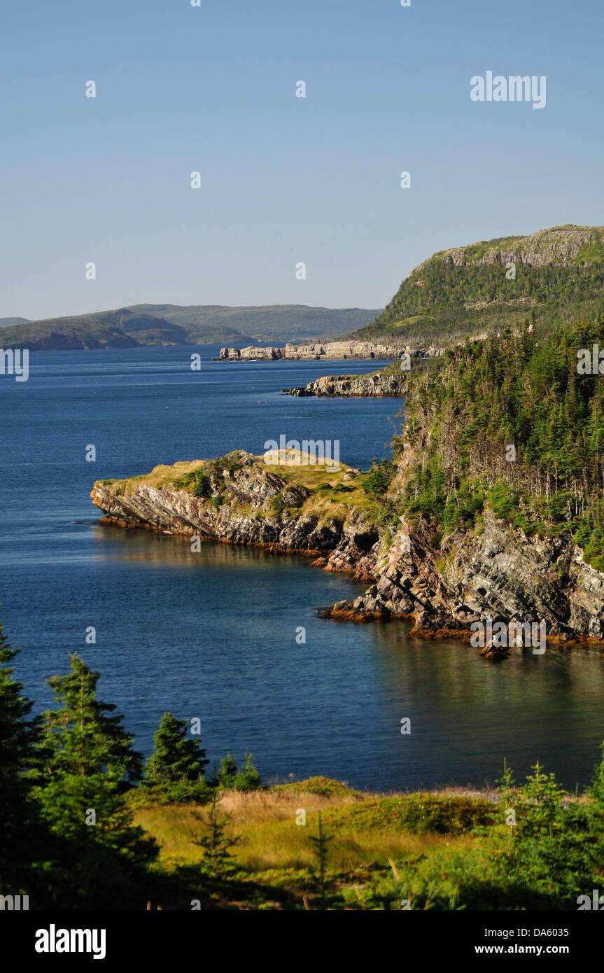 Rugged, coast, New Bonaventura, Newfoundland, Canada, sea, forest, landscape, Stock Photo