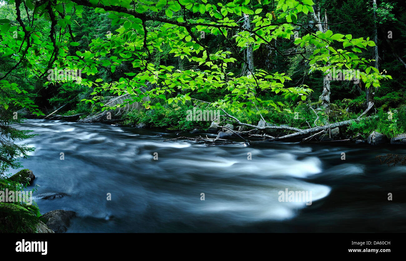 Canada, Chute du Diable, National Park, Mont-Tremblant, Quebec, brushed water, forest, green, leaves, river, vibrant Stock Photo