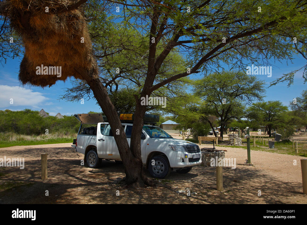 Campsite, 4x4, and giant sociable weavers nest, Okaukuejo Rest Camp