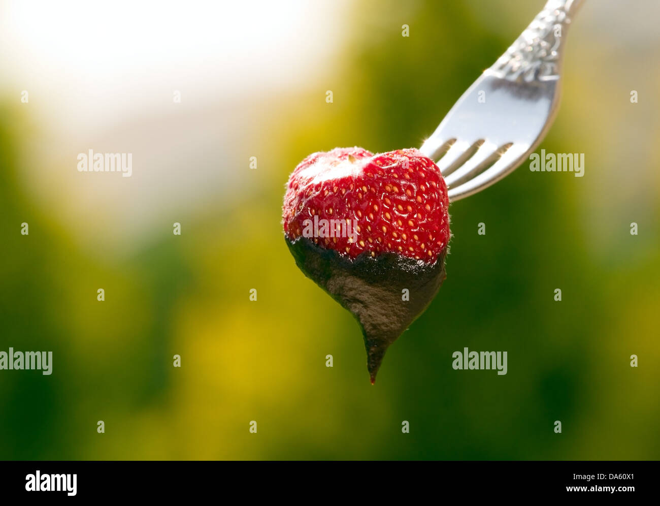 Red strawberry with chocolate on green nature background Stock Photo