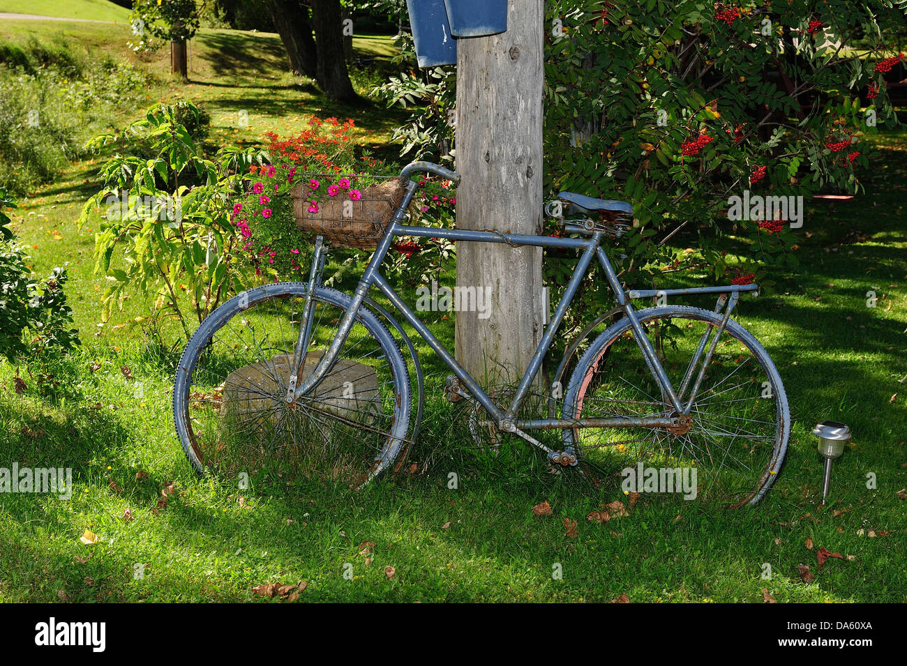 Canada, Rimouski, garden, bike, rusty, concepts, pole, flowers, Quebec, Stock Photo