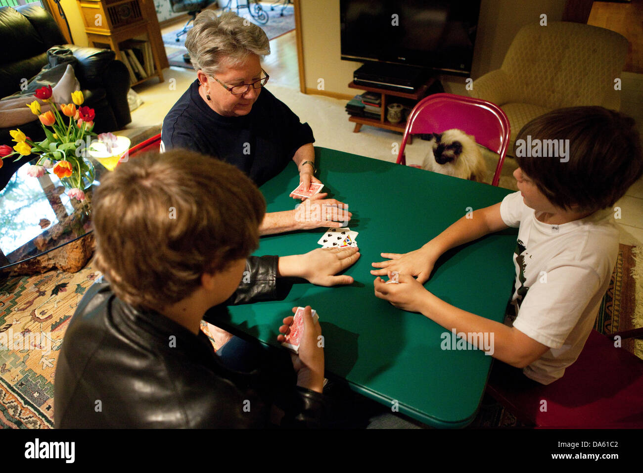 Family card game with cat sitting in a chair watching. Stock Photo