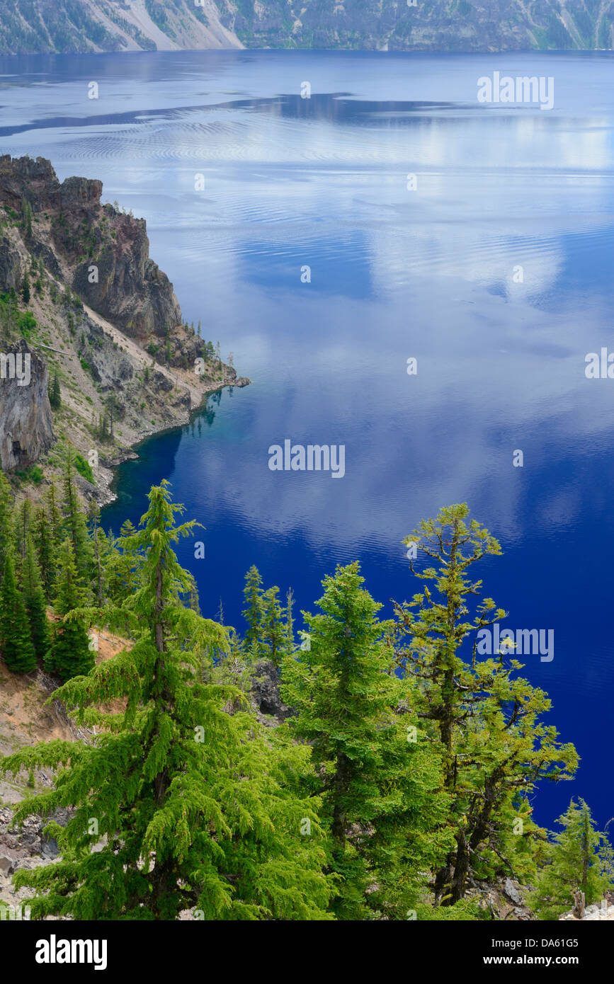 Pacific Northwest, Oregon, USA, United States, America, Cascade Mountains, Crater Lake, National Park, edge, blue, water, tree, Stock Photo