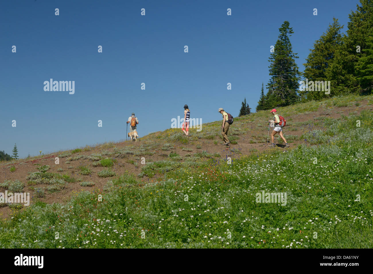 Pacific Northwest, Cascade Mountains, Oregon, USA, United States