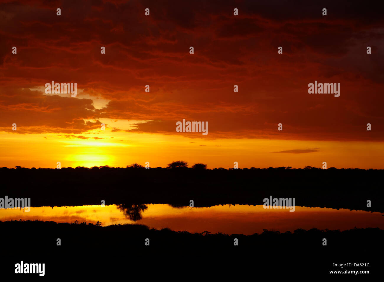 Africa waterhole sunset hi-res stock photography and images - Alamy