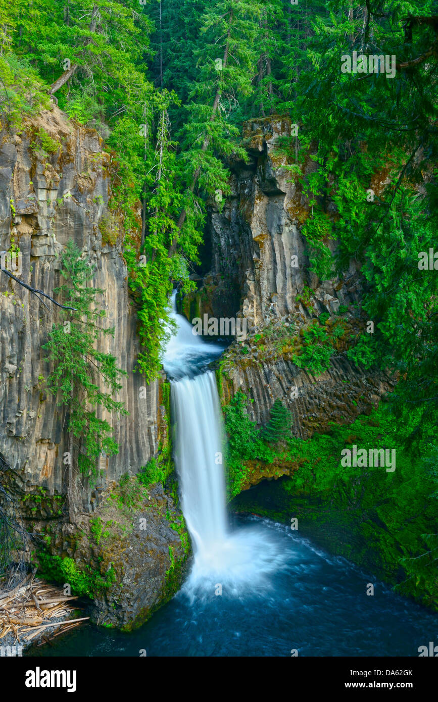 USA, United States, America, North America, Pacific Northwest, Oregon, Douglas County, falls, water, waterfall, pool, forest, tr Stock Photo