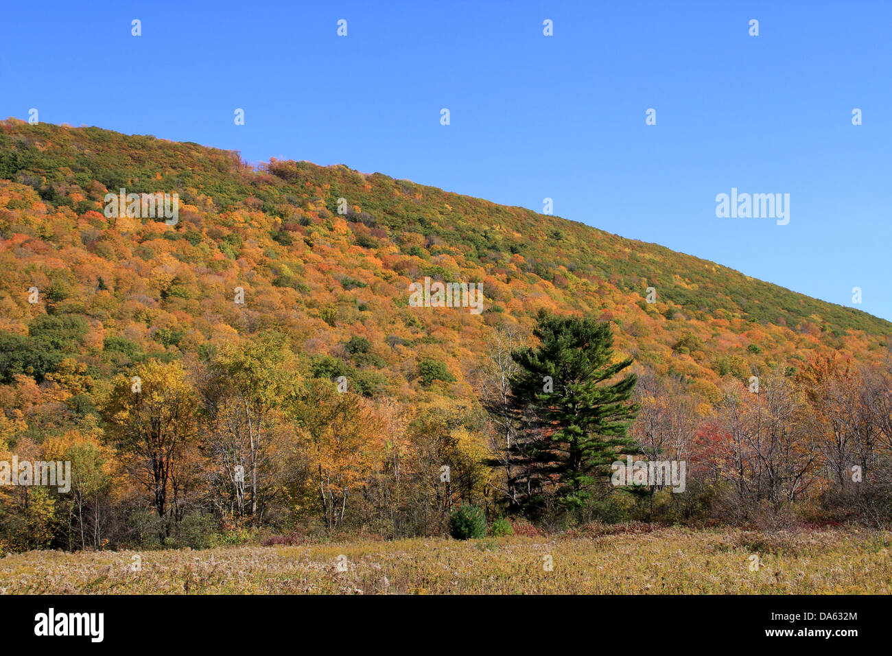 Colors of the fall sky hi-res stock photography and images - Alamy