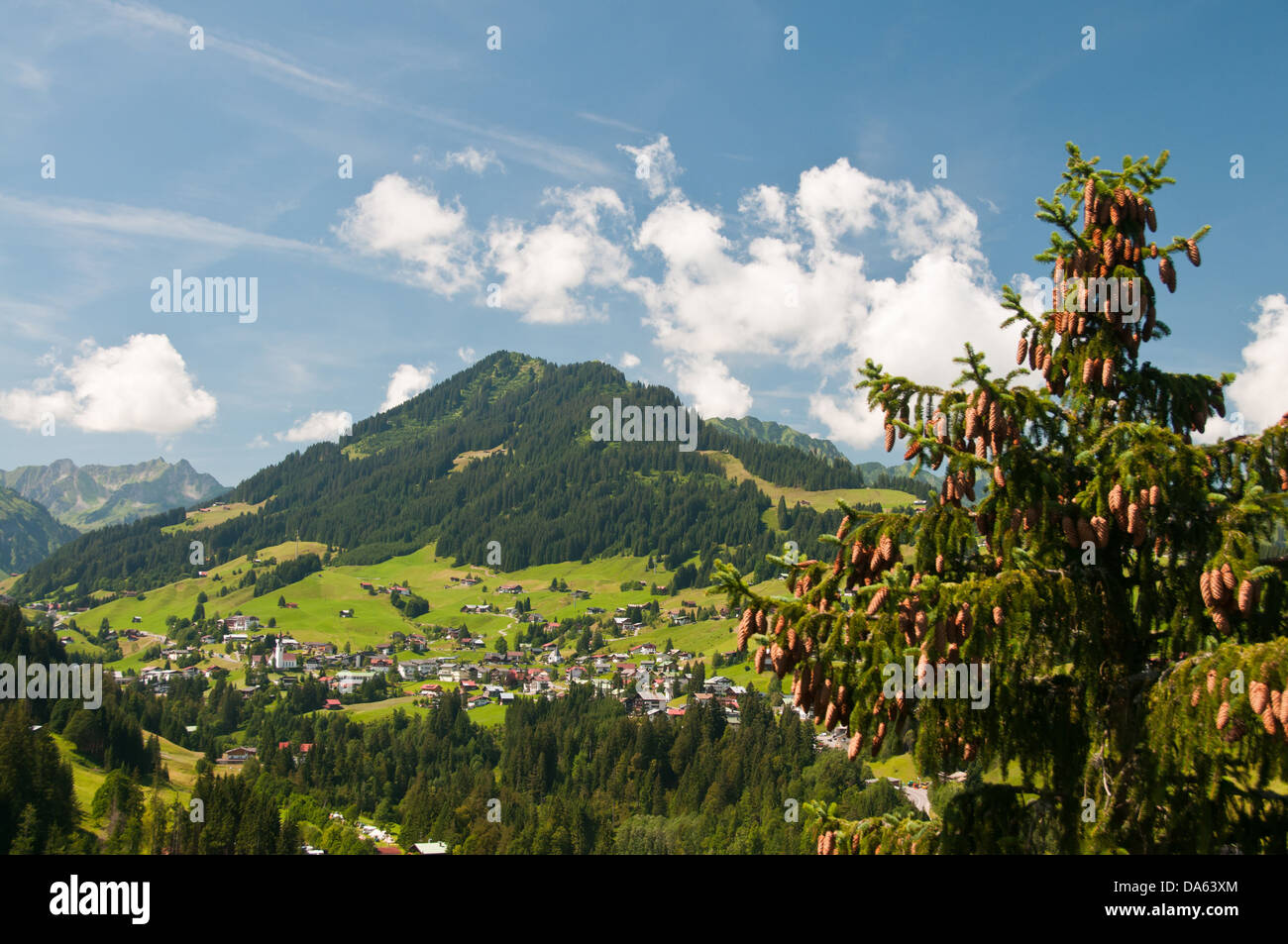 Hirschegg, Kleinwalsertal, Heuberg, mountain, 1795 meter, Vorarlberg, Austria, Europe, mountain, scenery, landscape, Stock Photo