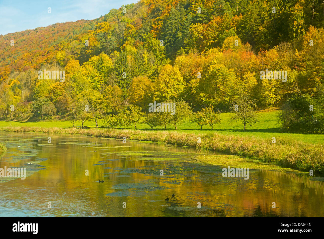 Blue, river, flow, blue valley, Blaubeuren, Alb Donau, Baden-Wurttemberg, Germany, Europe, scenery, landscape, Stock Photo