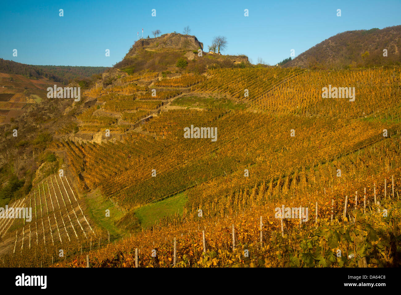 Vineyards, autumn, castle ruins, Saffenburg, Mayschoss, Ahrtal, ruins, wine, wine cultivation, Eifel, Rhineland-Palatinate, Germ Stock Photo