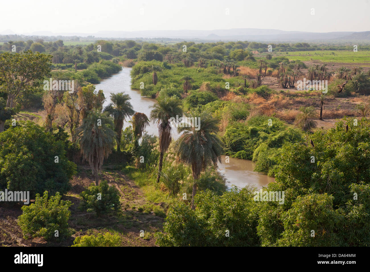 Fertile, agriculture, Afar, Asaita, Africa, town, city, river, flow, brook, body of water, water, agriculture, Ethiopia, Stock Photo