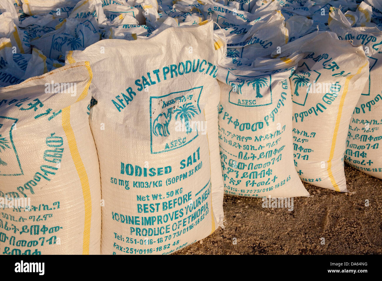 Salt production, saltwork, Afrera, lake, Africa, salt, Ethiopia, bags Stock Photo