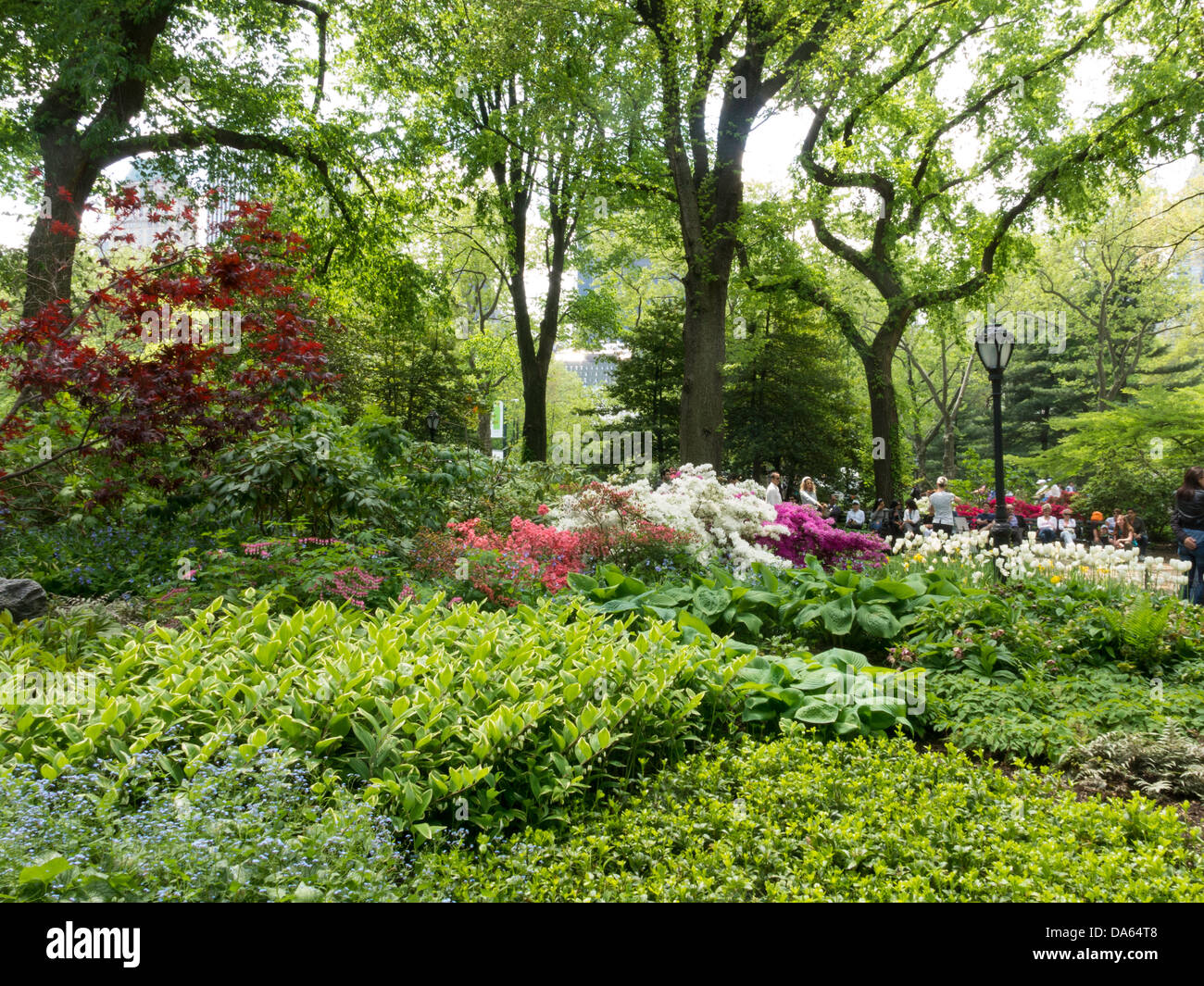 Flowers in Central Park in the Springtime, NYC Stock Photo Alamy