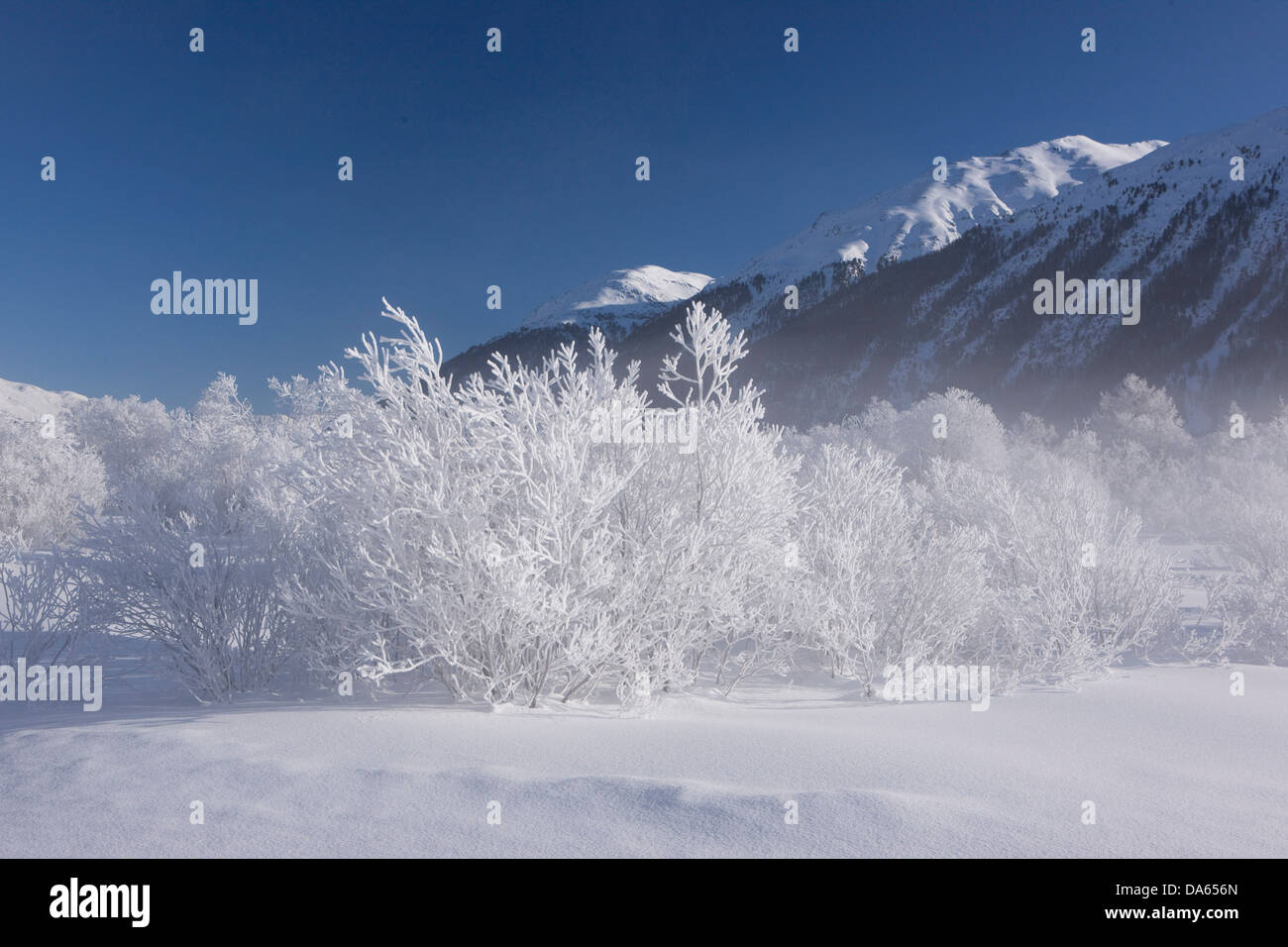 Winter scenery, landscape, Samedan, winter, canton, GR, Graubünden, Grisons, Engadin, Engadine, Oberengadin, Switzerland, Europe Stock Photo