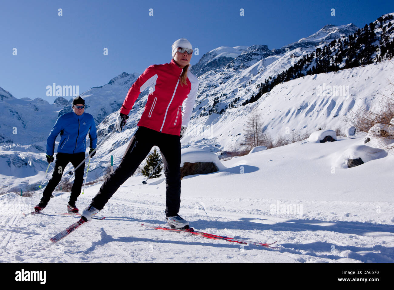 cross-country, ski, Bernina massif, Bernina, winter, canton, GR, Graubünden, Grisons, Engadin, Engadine, Oberengadin, cross-coun Stock Photo