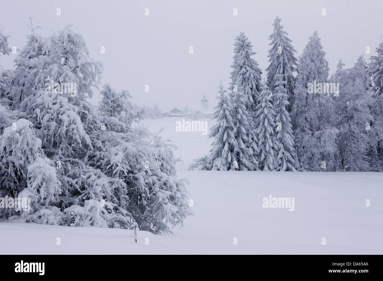 Winter, Jura, canton, JU, tree, trees, village, snow, winter, Switzerland, Europe, scenery, landscape, white, Montfaucon Stock Photo