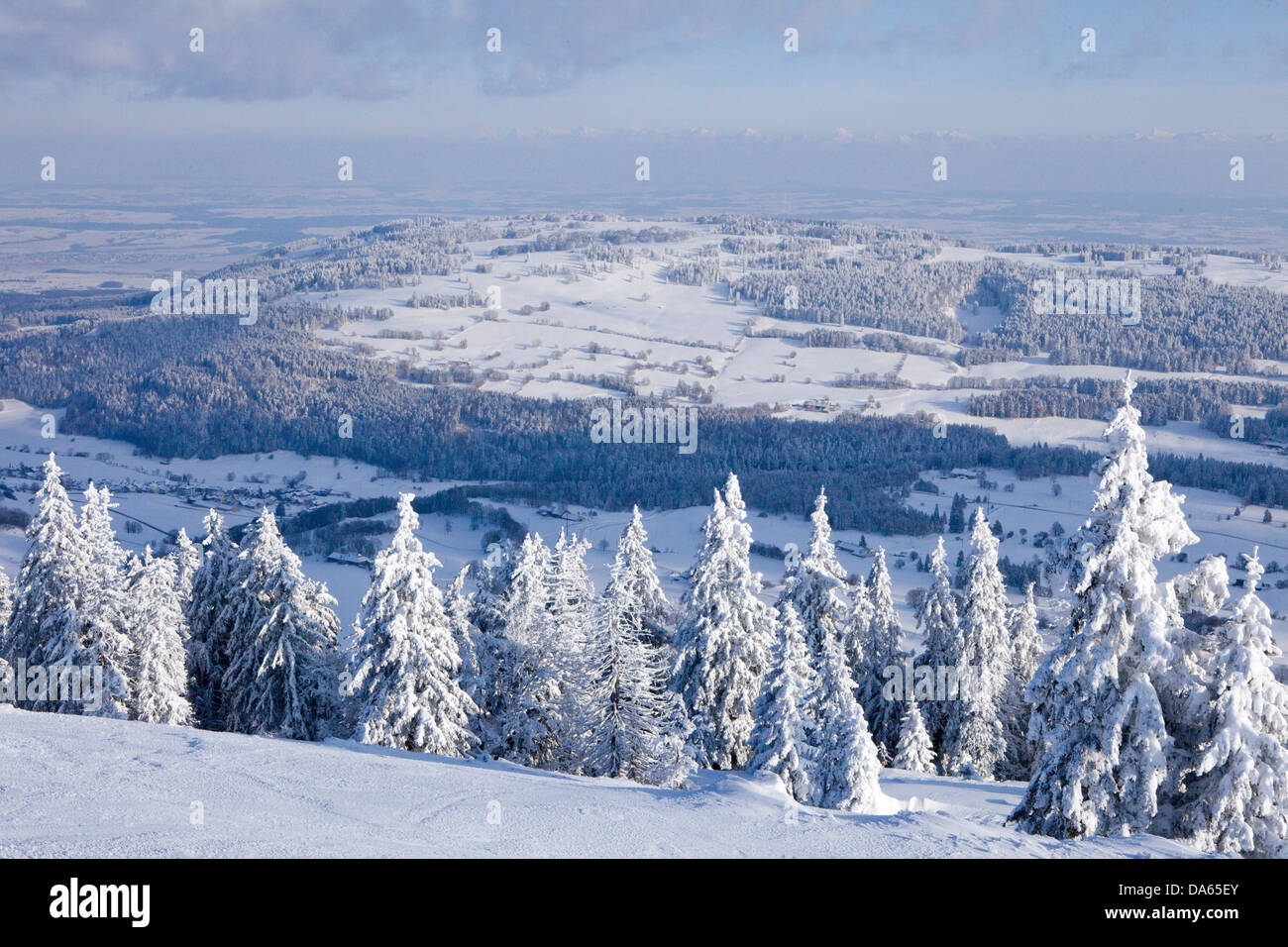 Dent de Vaulion, Valle de Joux, view, Alps, mountain, mountains, scenery, landscape, winter, canton, VD, Vaud, tree, trees, Swit Stock Photo